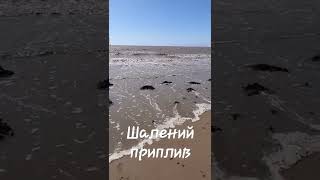 Шалений приплив, навіть не встигла втекти аби не намочити ноги 😁🌊