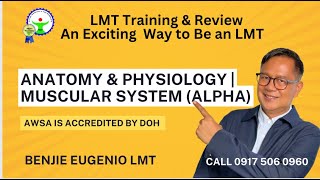 Be an LMT. Anatomy and Physiology | Muscular System