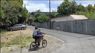 Roche Terre Village 🇲🇺