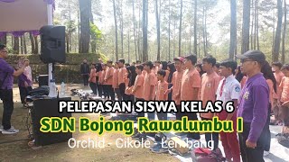 Pelepasan Siswa Kelas 6 SDN Bojong Rawalumbu I || Cikole Orchid