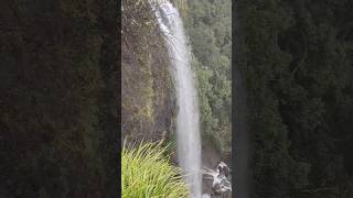 Amazing swapnwel waterfall 😯😯🏞️#shorts #tilari#swapnwel#waterfall