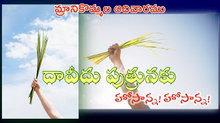 | Daaveedu Puthrunaku | దావీదు పుత్రునకు హోసాన్న, | మ్రానికొమ్మల ఆదివారము | Fr G Alphonse | Naveen |