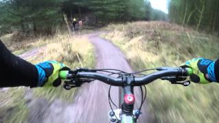 cannock chase . follow the dog . son of chainslapper 1080p