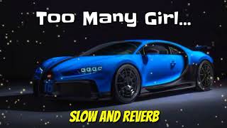 Too Many Girls Lofi Song Slow and Reverb  Badshah & Faizalpuriya