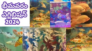 Bhimavaram Exhibition 2024||Fish Aquarium Entrance@MANIMAKESMANYTHINGS