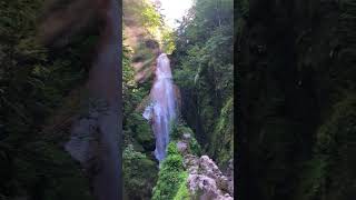 The sacred waterfalls in Nagano  #japanvlog #japantravel #japantrip #三本滝 #sanbondaki