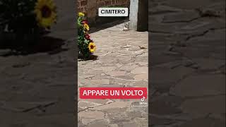 APPARE UN VOLTO AL CIMITERO 😱👻 #reels #paranormale #youtube #shorts #reels #reelsvideo #youtube