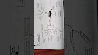 #Drainage flow chart