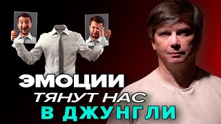 Эмоции тянут нас в джунгли | Как управлять лимбической системой