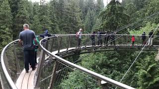 Traveller: Canada, Vancouver, Capilano park, Cliff walk