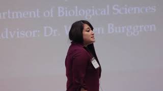 UNT Three Minute Thesis   Vascular Malformations and the Regulation of Angiogenesis