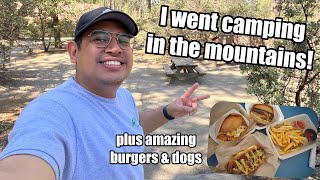 Going Camping in Idyllwild | VLOG | Dick's Dogs