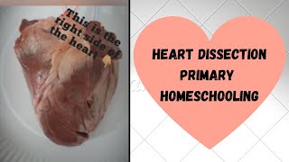 Heart Dissection Primary Homeschooling