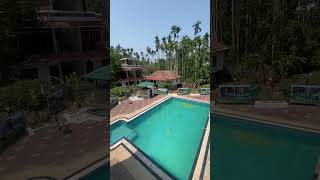 Wayanad low budget resort booking 6238767247