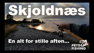 Skjoldnæs 🎣 En alt for stille aften 🐟 Havørred fiskeri