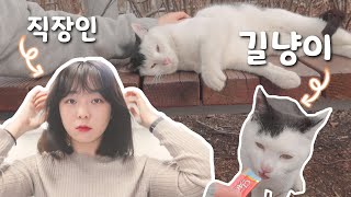 [Eng | VLOG] 직장인 일상 브이로그 | 교촌치킨, 오후반차, 라섹 정기검진 안과, 반포식스 쌀국수, 에듀티지 마이크 구매, 삼겹살, 길냥이 간식주기 | 해오니 Haeoni