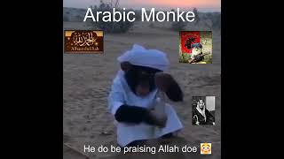 arab monke