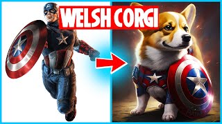 AVENGERS but CUTE WELSH CORGI-VENGERS | DOG 💥 All Characters | Marvel & DC | SUPERHEROES