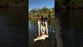 How to release a gorgeous Indian River Redfish. #inshorefishing #redfishing ￼