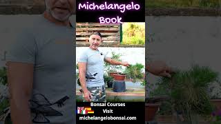 Michelangelo Book bonsai courses #bonsaicourses  #bonsaitechniques