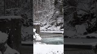 داشتم سکته میکردم تو آب یخ 🥶