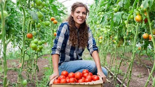 Cyprus farmer job