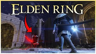 Elden Ring but I gave my Mimic Tear UNLIMITED POWER