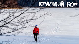 Поход в Беларуси - Красный бор #поход #тур