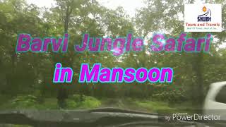 Barvi Jungle Safari