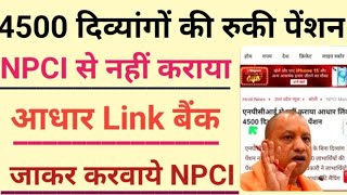 4500 दिव्यांगों की रुकी पेंशन | NPCI से नहीं कराया आधार लिंक जाकर करवा NPCI | कब आएगी दिव्यांग पेंशन