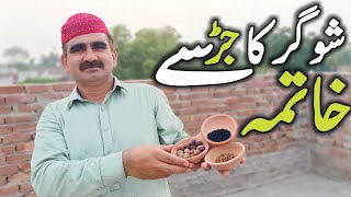 Sugar Ka Ilaj With Kalonji, Reetha (Soapnut), Tukhme Saras (Diabetes Treatment "Dawa" In Urdu Hindi)