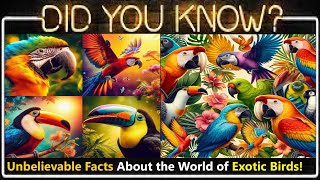 Feathered Friends: 10 Jaw-Dropping Facts About the World of Exotic Birds! (Imi Fun Facts)