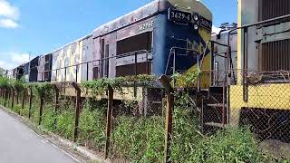 Mostrando um pouco do abandono das locomotivas da Mrs em Barra do Piraí