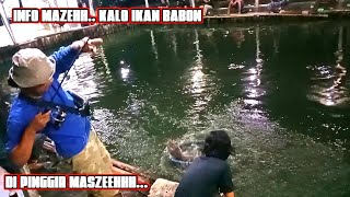 mancing lele main pinggir yang naik gede gede semua.