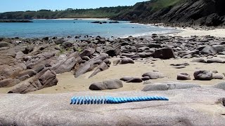 Dominoes on the beach & sea