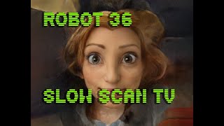 0061 Toonify SSTV Robot36