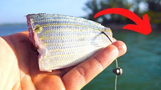 Catching Snook and Redfish Using Cut Bait and Live Bait