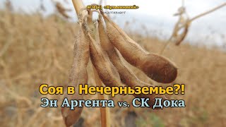 Соя в Центральном Нечерноземье?!