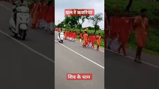 चल रे कवरिया शिव के धाम। chal re kawariya shiv ke dham. #shortvideo #viral #trending