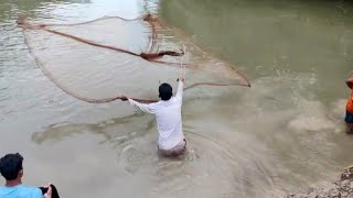 বর্ষার নতুন পানির স্রোতে দলবেঁধে মাছ ধরা || Group fishing in new monsoon waters.