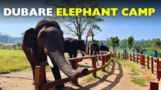 EXPLORE Dubare Elephant Camp in Coorg with Me!