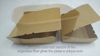 bagasse bowl,bagasse tableware,Biodegradable food container,High Grade,Chinese vendor