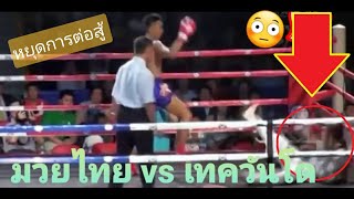 มวยไทย vs เทควันโด | หยุดการต่อสู้