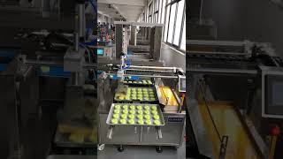 Mini mooncake egg brushing machine #camera   #craftsmanship  #skills #technical #Technical skills