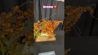 ✅Linda Orquidea en Exposición 🤩#shorts#orchid#beautiful #flowers#spring#showcase #viralvideo