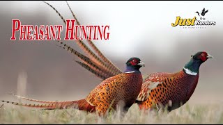 Pheasant Hunting at Bulgaria by Pakistani Hunters, Just Hunters Team