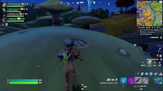 Fortnite stream