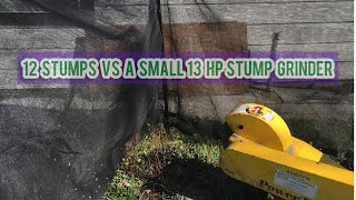 12 Stumps vs a 13 HP Small  Stump Grinder