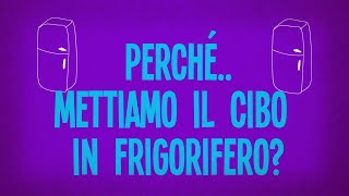 Perché mettiamo il cibo in frigorifero?