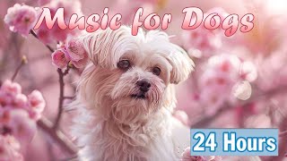 Dog Music - Relaxing Music Helps Dogs Sleep Easily And Happily | 24 Hours for Your Dog